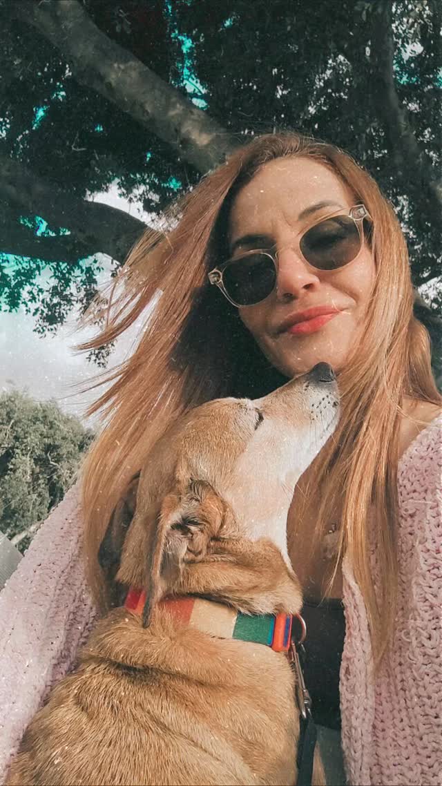 הפסקת אש....
#dogslovers #dogstagram #dogsofinstagram