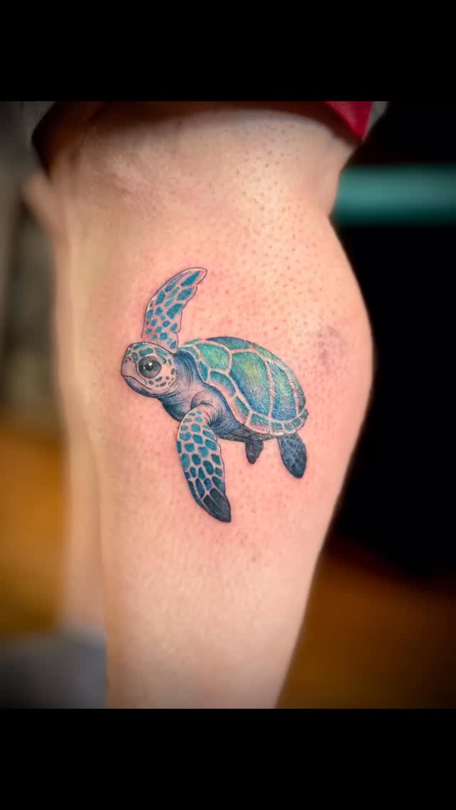 @kayy.tattoos did her thing with this one..Look at this gorgeous sea turtle😍🐢💙
.
Book via link in bio
.
.
.
.
.
.
.
.
.
#tattooshop #ellsworthmaine #tattoosofinstagram #colortattoo #seaturtle