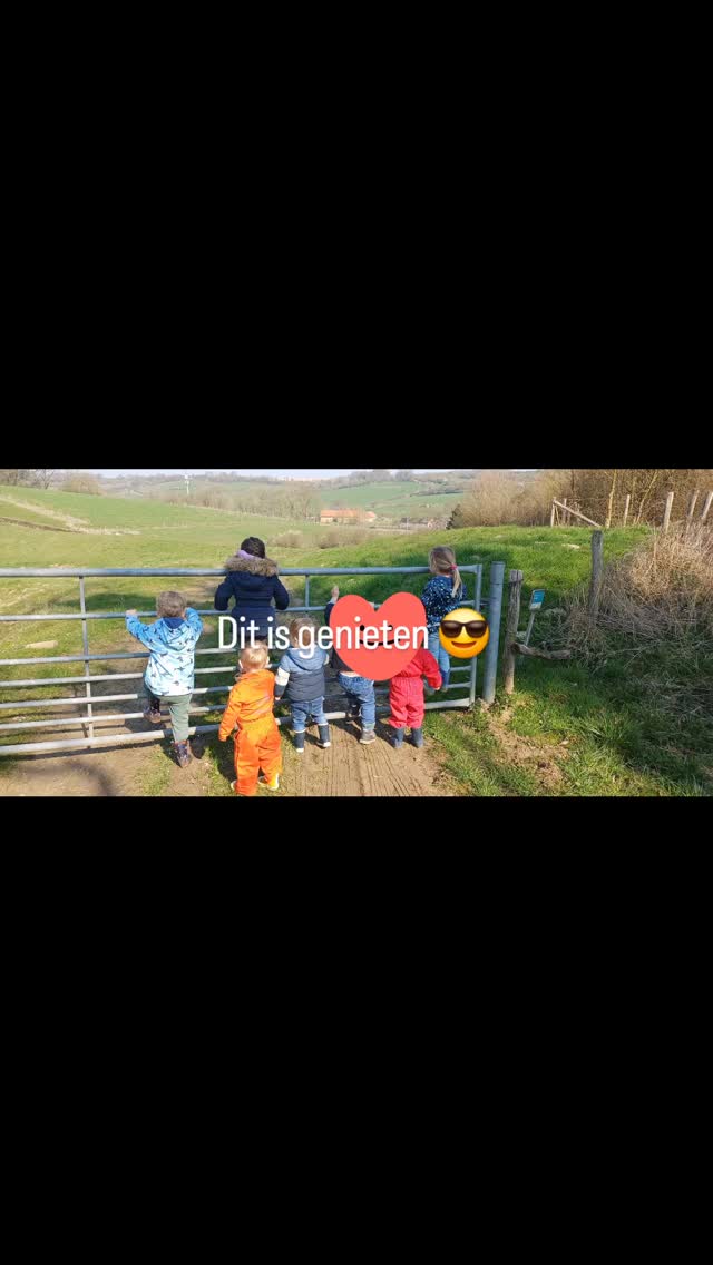 Als een juf jarig is, dan is het feest! 🥳 We gaan met z'n allen naar de Boerderij 🤩 we aaien en voeren de koeien 😎 dan mogen we nog op de fietsen en samen met de juf op de skelter 👌🏻☀️ #buiten #wandelen #natuur #koeienliefde