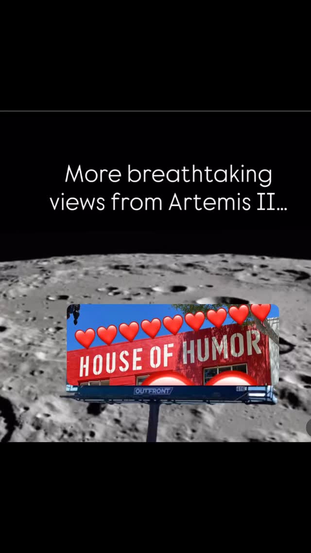 HOUSE OF HUMOR
729 EL CAMINO REAL REDWOOD CITY
#wigs #costumes #redwoodcity #party #baytobreakers open smallbusiness wig mask fun party instagood love costumestore lingerie beards partycity sanmateo sancarlos mountainview fostercity millbrae dalycity sfo sanbruno shoplocal accessories Palo Alto stanforduniversity