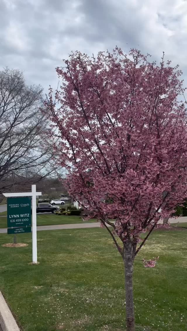 🌸 Spring is finally here — and we’re officially done with the snow! ❄️➡️☀️
Time to get those listings up and looking sharp. Let Synergy Sign Solutions handle your real estate sign installations quickly and professionally.
📞 Call/Text today: 631-707-2979
Fresh season. New listings. More SOLD signs. 🏡✨
#SpringMarket #RealEstateSigns #SignInstallation #RealtorLife #JustListed