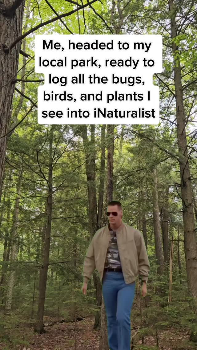 Today is National Take A Walk in a Park Day (March 30th)!
Local parks are a convenient way to get out and enjoy nature. But they can also be a great way to contribute to community science projects! Apps like iNaturalist make it easy to identify and record your findings, whether they be plants, critters, or fun guys... I mean fungi! This data helps inform local land managers and national efforts alike.
With the weather warming up and spring finally on the way, it's a great day to take that walk in a park and start recording your nature finds today!
#takeawalkintheparkday #park #inaturalist #nature #meme