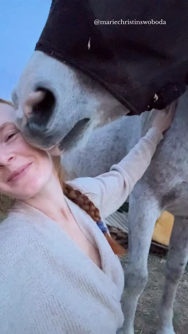 Es checkt dich aus...Und entscheidet sich dann für das andere Ende der Wiese.
Cool, cool, cool.
Und dein innerer Dialog startet sofort:
„Aha. Sein Ernst?!“
„Alles klar. Dann mag er mich wohl heute mal wieder nicht.“
„Ich bin die schlimmste Pferdebesitzerin der Welt und bekomm es nicht auf die Reihe.“
Bevor wir hier von Respekt, Rangordnung oder Führungsproblemen sprechen:
Pferde reagieren extrem fein auf Energie.
Wenn du gerade direkt aus einem Tag voller Druck kommst,
dein Kopf noch rotiert
und dein Körper eigentlich noch im Funktionsmodus ist,
dann fühlt sich deine Nähe für ein sensibles Pferd eher unsicher an. Und vielleicht ist das nicht nur an einzelnen Tagen so, sonder dein Dauerzustand.
Es sagt dir damit nicht. dass es dich nicht mag.
Manchmal heißt weglaufen nicht: „Ich will dich nicht.“
Sondern: „Ich kann deine Energie nicht aushalten und muss mich schützen.“
Wenn du herausfinden möchtest,
wie hoch deine innere Anspannung gerade wirklich ist
und ob dein Pferd darauf reagiert:
Kommentiere CHECK und ich schicke dir meinen 0€ Self-Check.
#Pferdeverhalten #Nervensystem #Reiterin #BindungZumPferd #Stressregulation
Pferd läuft weg auf Koppel, Nervensystem Reiterin regulieren, Pferd reagiert auf Energie, Verbindung zum Pferd verbessern, innere Anspannung erkennen