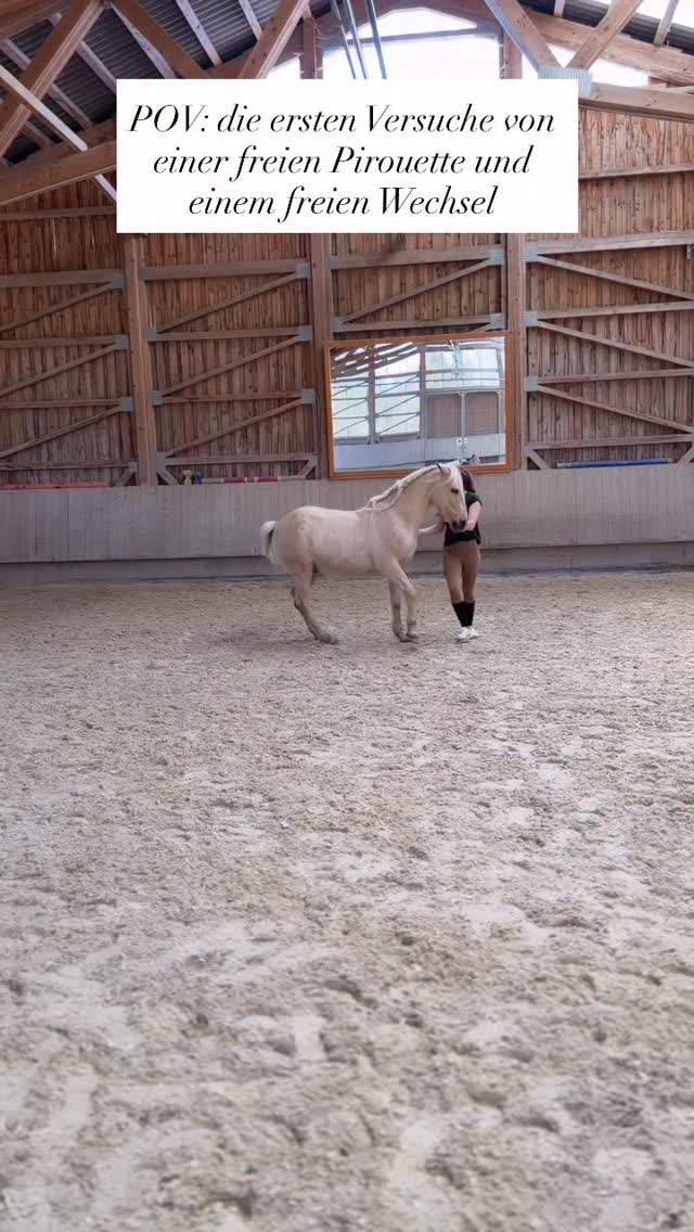 Aller Anfang ist schwer, aber für die ersten Versuche kann sich das Ganze trotzdem schon sehen lassen. 🤍
•
Bei der Handarbeit springt Sui schon eine wunderschöne Pirouette und ich habe Spaß ausprobiert, das ganze frei abzufragen. Hier fehlt ihm noch etwas, die Kraft und die Unterstützung durch meine Hilfen. Trotzdem bin ich Mega stolz wie sehr versucht, mich zu verstehen und sich ausprobiert.🍀
•
Am Zügel geführt, kann er die Pirouette bereits auf einem sehr kleinen Radius halten und verliert auch sein Hinterbein nicht. Mal sehen, wie das Ganze in wenigen Wochen aussieht, wenn mehr Routine und Kraft vorhanden ist. 😍
•
Auch der fliegende Wechsel ist nach gesprungen, aber das Thema haben wir generell und deshalb könnte ich nicht zufriedener sein, mit seiner Idee, meine Hilfe zu verstehen. 🥳🙏🏻
•
Heute waren wir übrigens das erste Mal in diesem Jahr schwimmen und alle drei Fellnasen hatten großen Spaß. 🫶🏼