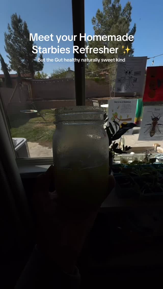 It's easy peasy.
Blend pineapple + mint + water + squirt of agave - strain - add ice - sip & enjoy that little hint of summer while also boosting your body with natural electrolytes. Natures candy as my mother would say... and as a child I'd roll my eyes
Xo,
Liv
#pineapple #starbucksrefresherdupe #diyrefresher #Recipe #Summer