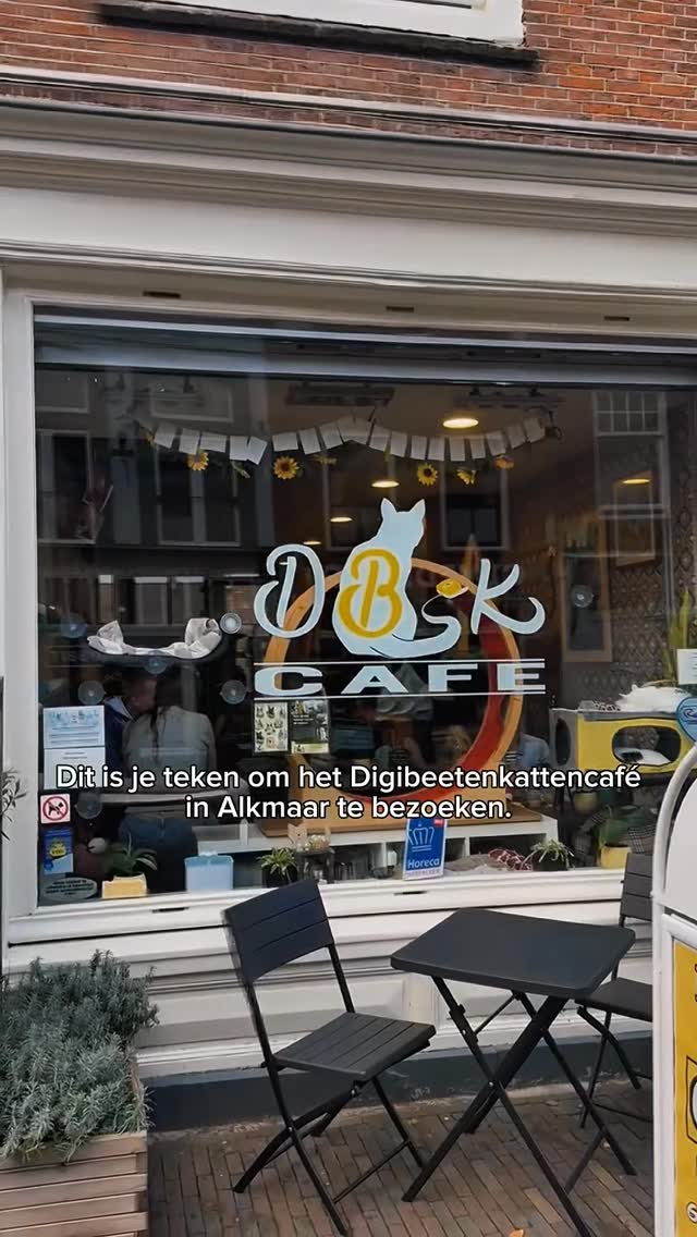 Als je dit ziet… dan is het officieel tijd voor een bezoekje aan ons kattencafé in Alkmaar. De katten wachten op je.
#kattencafe #alkmaar #kattenliefde #cats #fypnl