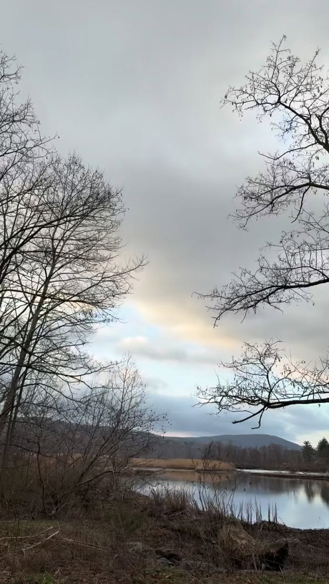 #morningtea #coldspringny #gratitude