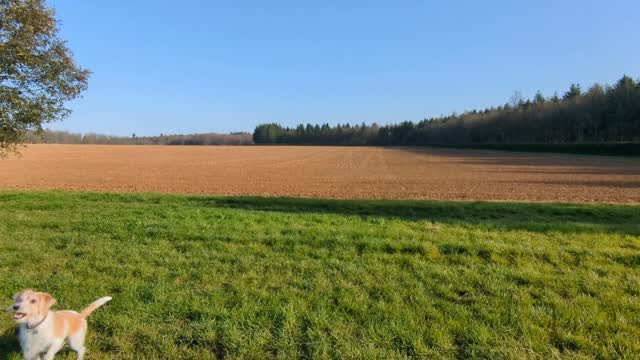 Fantastic start to the day walking with my sister 💕🌞