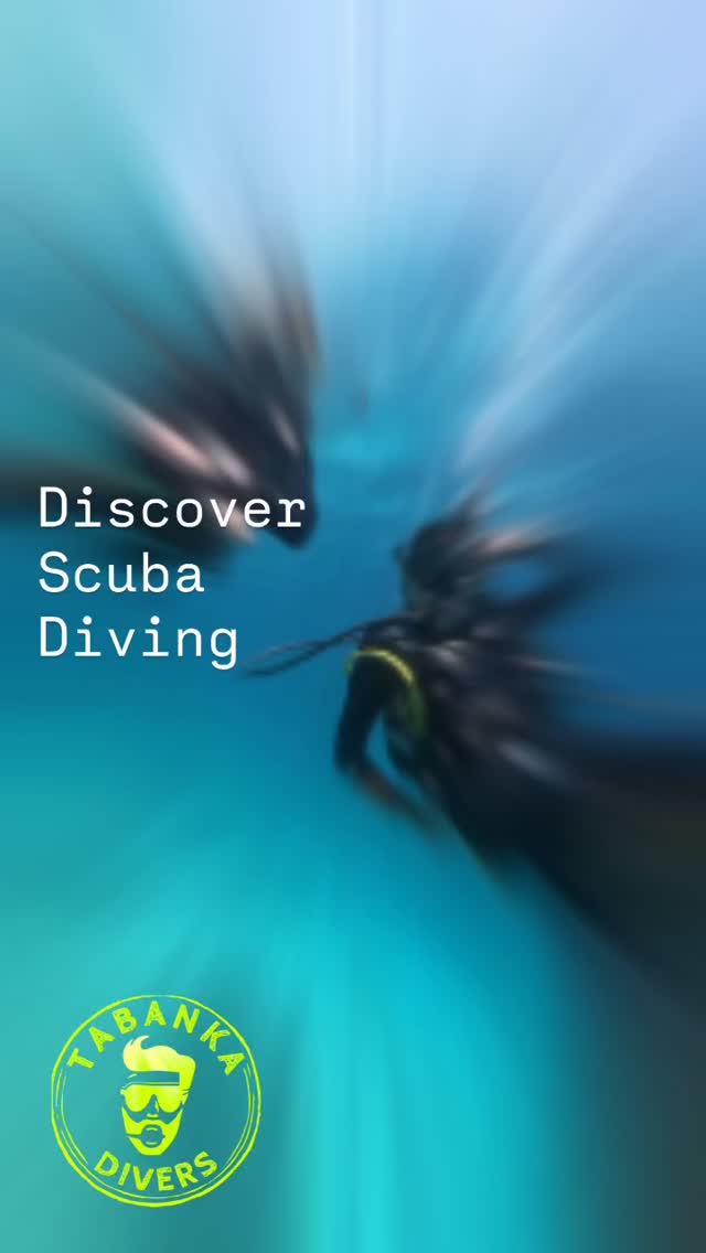 This is how scuba diving for the first time feels like - are you ready to try ?
#tabankadivers #elnidopalawan #trydiving #padi