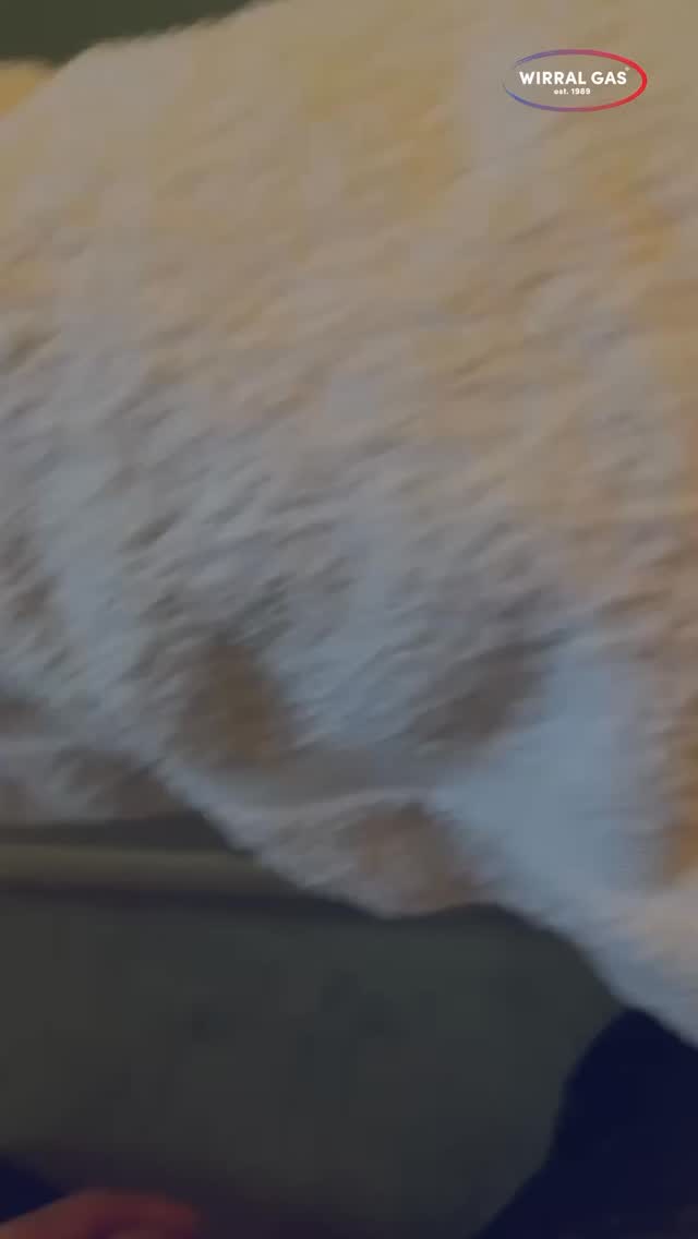 Mid-install of a brand new toilet…and you’ll never believe what happened next 👀 Didn’t even get to hand it over first 🚽
#wirralgas #aprilfoolsday #aprilfools #wirral #liverpool