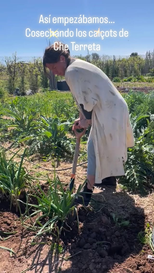 Calçotada 2026 en @cheterreta.
Gracias a todxs por un día inolvidable!
No te pierdas nuestros próximos eventos! Ven a formar parte de nuestra comunidad huertera y comienza el cambio hacia una vida más natural!
Te esperamos 🙌🏻
Www.huertourbanocheterreta.com
.