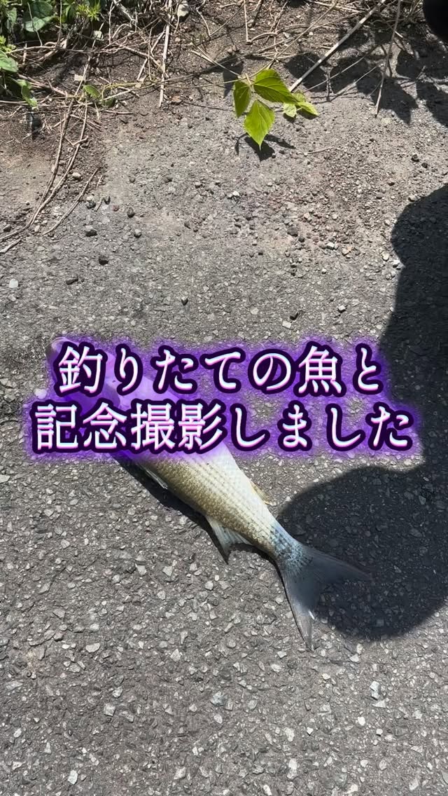 最近かなり暑くなってきましたね
#塗装工事 #塗装 #塗装屋 #塗装屋さんと繋がりたい #塗装職人