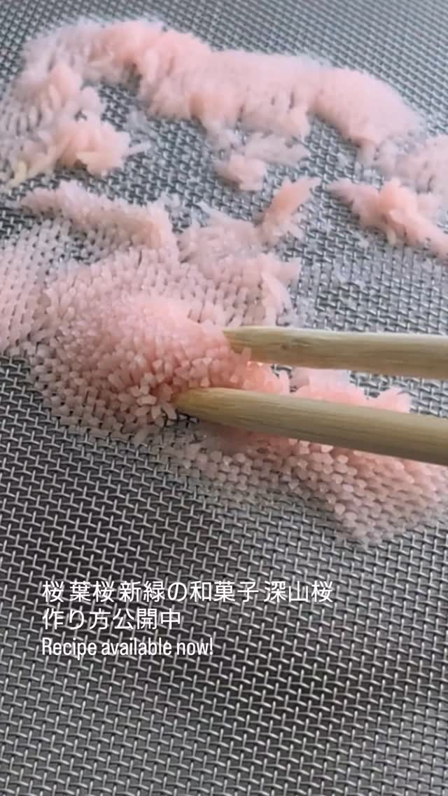 そろそろ #葉桜 になって来て植物の生命力が眩しい季節ですね。桜と新緑の和菓子 深山桜 作り方公開中→ https://youtu.be/_8jHXmr5aAs?si=CVG8XxBDx054YUFX
#和菓子 #和菓子意匠石原商店