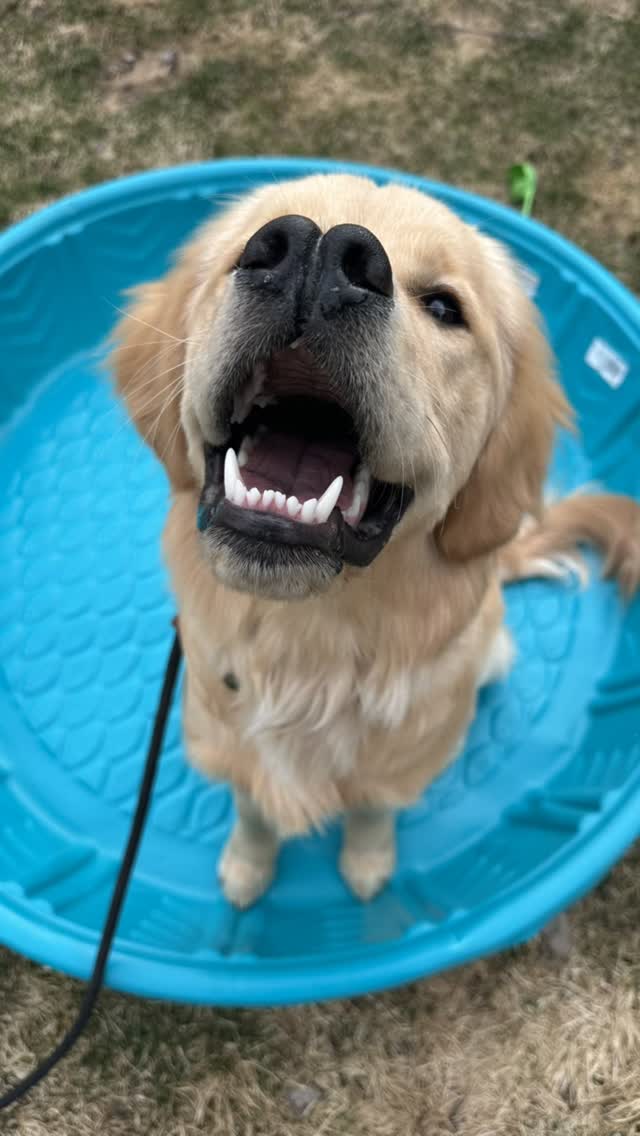 Can we skip the whole April showers thing and just get right to Summer?! 😎☀️