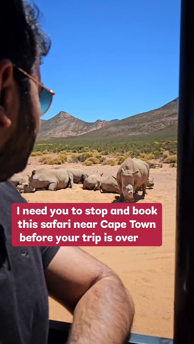 if you're visiting South Africa on a limited time or budget and still want to experience a safari game drive, Aquila is a great alternative! We weren't quite sure what to expect but as you can see, were thoroughly impressed 😍
#travelguides #southafrica #travelinspiration #safari