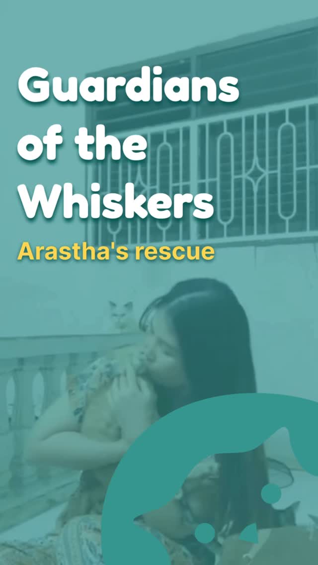 She spends her own money and loses sleep, and she does it every single day ✨
Meet Harnita, from Medan, Indonesia: she rescues abandoned kittens, nurses sick cats back to health, and runs TNR campaigns so fewer animals face the streets tomorrow.
Some arrive sick, some abused, others injured. All of them get a second chance.
Today, over 50 cats now live under her care.
Follow @arastharescue , share her story — and if adoption or fostering has ever crossed your mind: let this be your sign 🩵
#catrescue #streetcats #animalwelfare #catsofinstagram #adoptnotshop