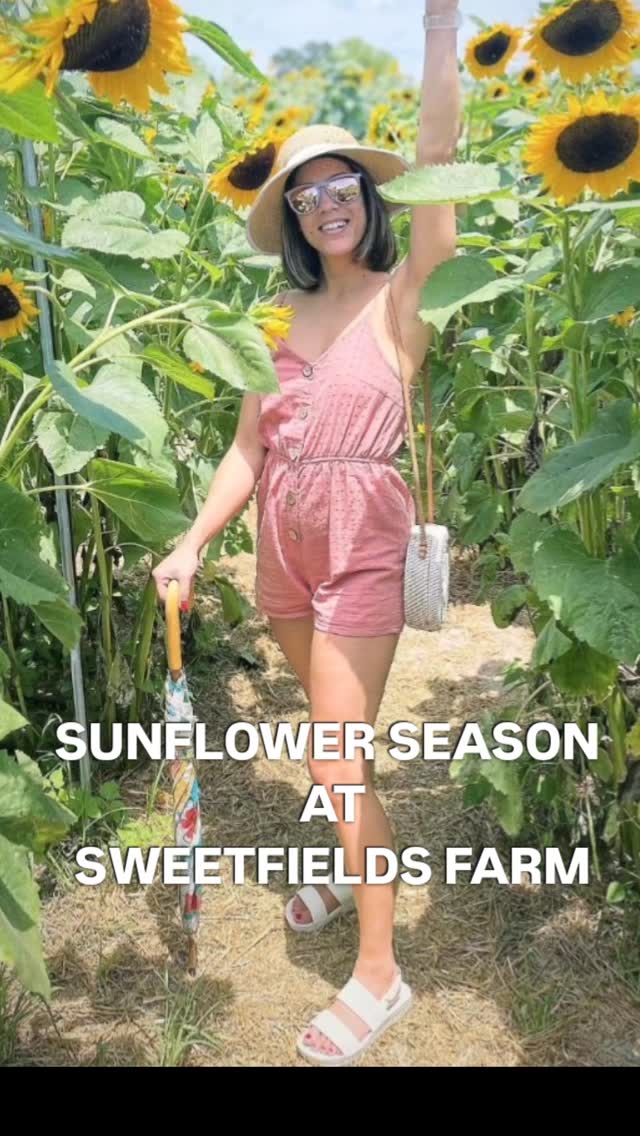 Weekends in May! Don't miss this Amazing Event @sweetfieldsfarm
#sunflowers #Florida #mustdo #bucketlist