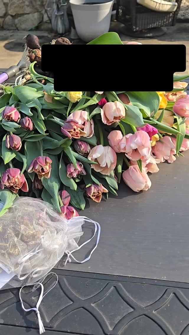 Happy Tuesday Beautiful People. Another beautiful Spring day. Windy, but beautiful. The farm is waking up and the Spring blooms are just perfect, if you ask me. 😉 Spring Subscriptions will be going out next week, and if you ordered, you should have received your email by now. We might have a few bouquets available next week, will post availability if there is any. Hoping you are enjoying your Tuesday, smiling often, being kind to a stranger, having a conversation with a senior citizen and getting some fresh air. All it takes is one person to make a change, take a step, or show the way. 👩🏽🌾💐✔️