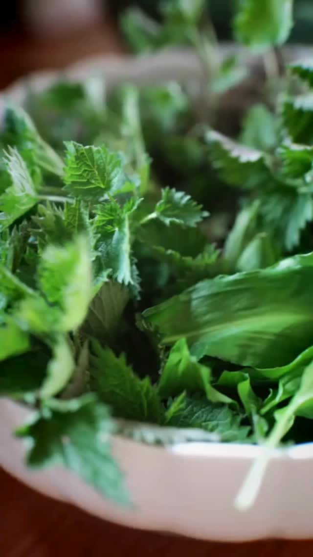 Jarní nádivka s kopřivou a medvědím česnekem 🌿
Velikonoce a jaro k sobě prostě patří. Tahle voňavá nádivka spojuje tradiční chutě s prvními jarními bylinkami, které jsou plné síly a vitamínů.
🌿 Kopřiva
Jedna z nejcennějších jarních bylin. Podporuje detoxikaci organismu, pomáhá čistit krev, obsahuje hodně železa, vitamínu C a minerálů. Posiluje imunitu a dodává tělu energii po zimě.
🌿 Medvědí česnek
Přírodní antibiotikum. Podporuje trávení, pomáhá snižovat krevní tlak, prospívá srdci a cévám a působí antibakteriálně. Navíc dodá nádivce krásnou svěží chuť.
✨ Proč si ji dát?
– doplníš vitamíny po zimě
– podpoříš trávení
– využiješ čerstvé jarní bylinky
– a hlavně… chutná naprosto skvěle!
🥚 Suroviny:
• 450 g veka nebo rohlík
• 100 g máslo
• 100 g slanina nebo šunka
• 1 cibule
• špetka muškátového oříšku
• 350 ml čerstvé mléko (3,5 % tuku)
• 100 g kopřivy
• hrst medvědího česneku
• sůl, pepř
• 4 vejce velikosti M
• 100 g tvrdý sýr
Já ji miluji. Jelikož je příprava rychlá a hlavně je chutná. Ulož si recept na později a napiš do komentáře, jestli už jsi letos kopřivy nebo medvědí česnek sbírala. 🌱