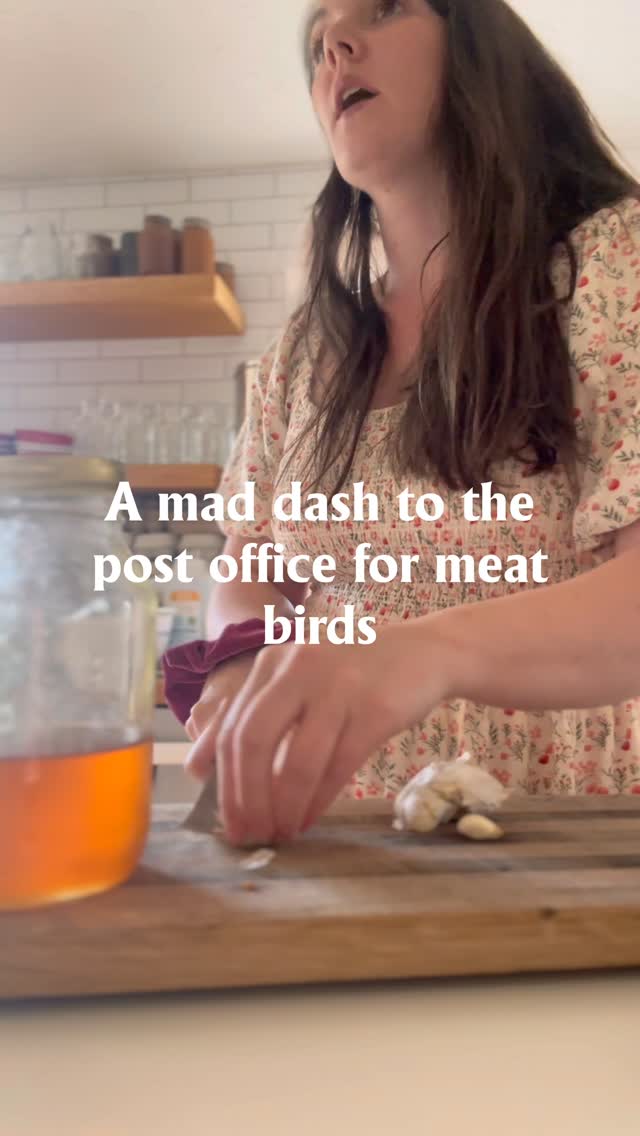 Well that was anticlimactic, part 2 coming where we find the rest of the meat birds.