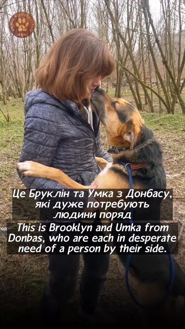 Шукаємо сімʼї для Брукліна та Умки з Донбасу, які дуже потребують людини поряд (⬇️ENG)
У Брукліна загинули господарі під час прильоту міни в Олексієво-Дружківці.
Умка дивом вижив під час влучання КАБу у його подвірʼя в Добропіллі.
Цим хлопчикам дуже бракує людини поряд.
Бруклін – це мікс різних настроїв.
Як кажуть наші працівники, це надзвичайно контактне, ніжне та водночас активне створіння.
Йому потрібно скакати, бігати, стрибати та все це – бажано разом із людиною :)
Умка – також вміщує в собі 2 особистості. Він так і залишився дуже привʼязаним до людини.
Сам підходить, просить, щоб його погладили, все так само обіймається та на прогулянці він із радістю всюди бігає, все вивчає, щасливий, що в нього стільки простору та звісно, більш за все радіє, що гуляє разом із вами.
Бруклін і Умка дуже чекають на свої люблячі сімʼї !
Контактний номер для всиновлення:
+380990416703 (WhatsApp / Viber / Telegram)
Зробити донат можна за посиланням у біо чи в коментарях 👉
We are looking for families for Brooklyn and Umka from Donbas, who desperately need a human by their side.
Brooklyn’s owners were killed when a mine hit in Oleksiievo-Druzhkivka.
Umka miraculously survived a guided bomb strike that hit his yard in Dobropillia.
Both boys deeply miss having a human close to them.
Every time someone at ARK walks past his enclosure, Brooklyn does everything he can to get their attention.
Brooklyn is a mix of different moods.
A