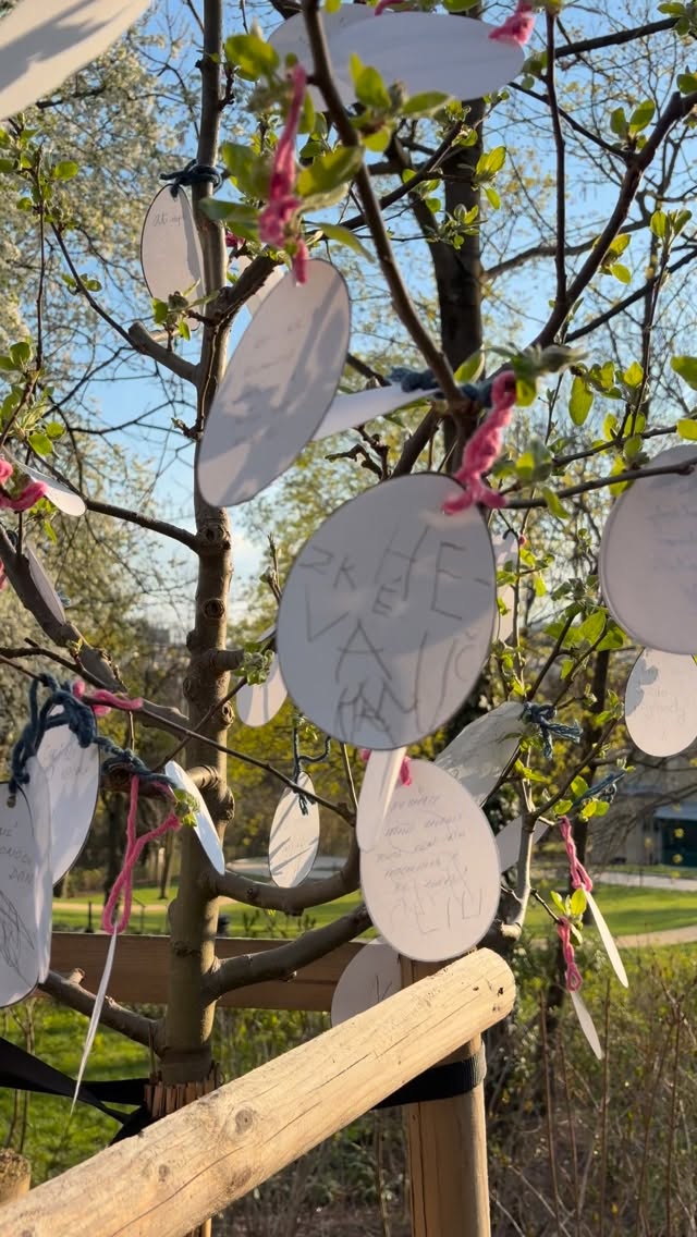 Happy Easter from Brno! 🐰🐣
#easter #eastertree #brno