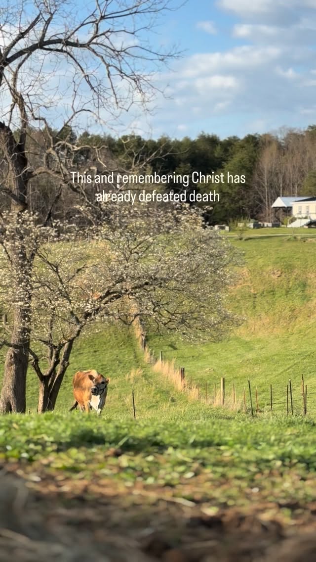 He defeated death so we could truly live.
As weâve read through the Easter story this week, along with our growing collection of Easter books, the kids have asked the best questions. You can see it clicking for them, just how deep and meaningful the gift Christ gave us really is.
May we not forget, when Sunday comes with baskets and egg hunts, what this day truly means.