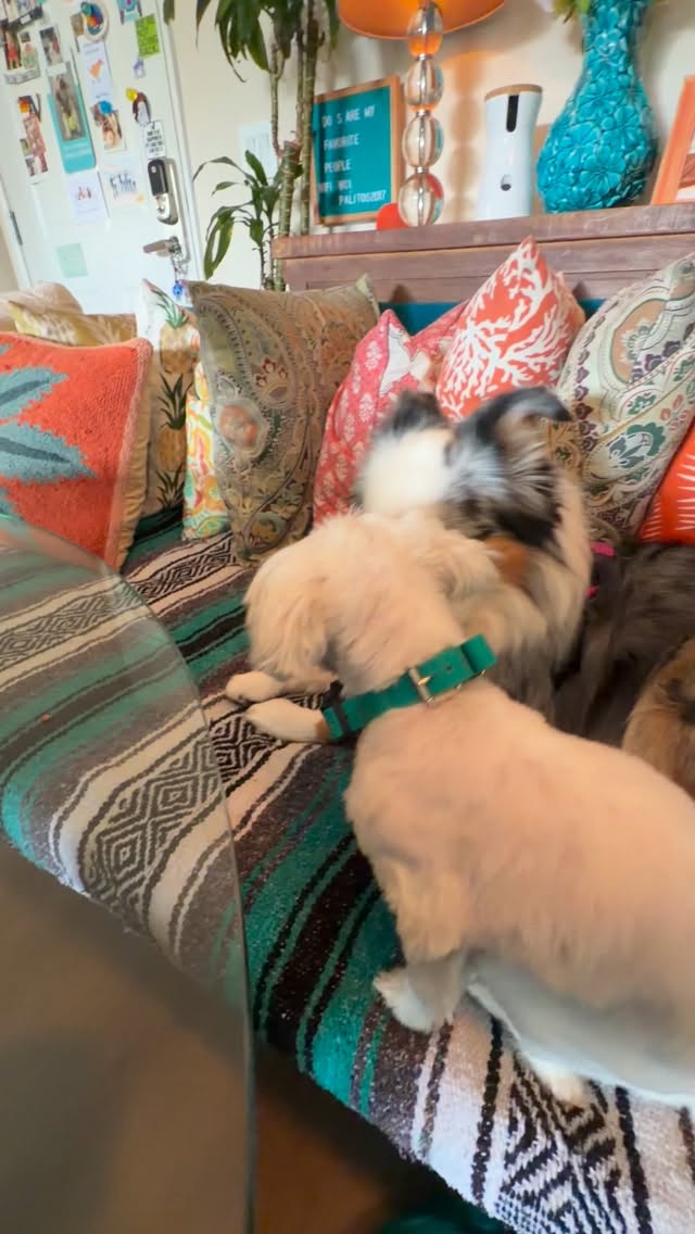 Friday’s are for the girls @willys_clubhouse