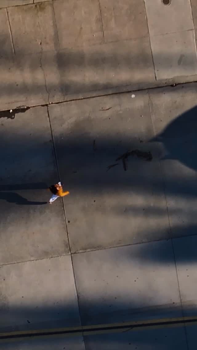 Get your next tattoo with an ocean view ✍️🤩
Check out our artists and Book your free consultation on our patio today 🗓️
DM or fill the form in our site 🔗
PROSPECT INK
PREMIUM TATTOO STUDIO
Modern concept & ocean views.
1224 Prospect St, Suite 150, La Jolla
🎥 @lucasebusc
#colortattoo #lajollacove #blackandgreytattoo #realismtattoo #sandiegotattooartist