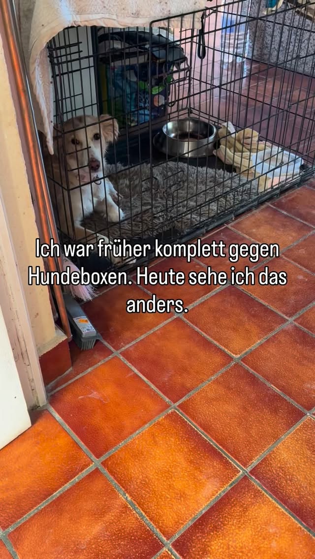 Eine Box ist nicht automatisch eine Lösung.
Aber oft erstmal Entlastung.
Die eigentliche Frage liegt tiefer.
Kommentiere „Blog“, wenn du den ganzen Artikel willst.
& just saying:
• ein Hund sollte nie einfach in eine Box gesperrt werden ohne vorheriges Training.
• bei dem Hund auf dem Video handelt es sich um meinen Pflegehund, der viel Mist erlebt hat und daher sehr unterwürfiges Verhalten zeigt. Die Box ist für sie zum sicheren Hafen geworden und sie liegt auch drin, wenn die Tür offen ist.
#HundeVerhalten #HundeBox #ÜberfordertmitHund #Hundemama #Boxentraining
Hund in die Hundebox sperren,
Hund kommt nicht zur Ruhe,
Entspannung mit Hund,
Hunde Alltag