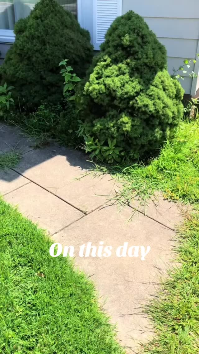 Flowerbed ✅
#landscape_lovers #ohio #propertymanagement #smallbusiness