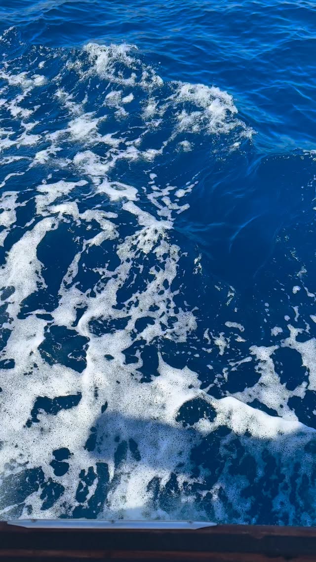 It’s time to be back on the boat 🚤
#motobarcaantares #sardinia #vacation #summer #cannigione