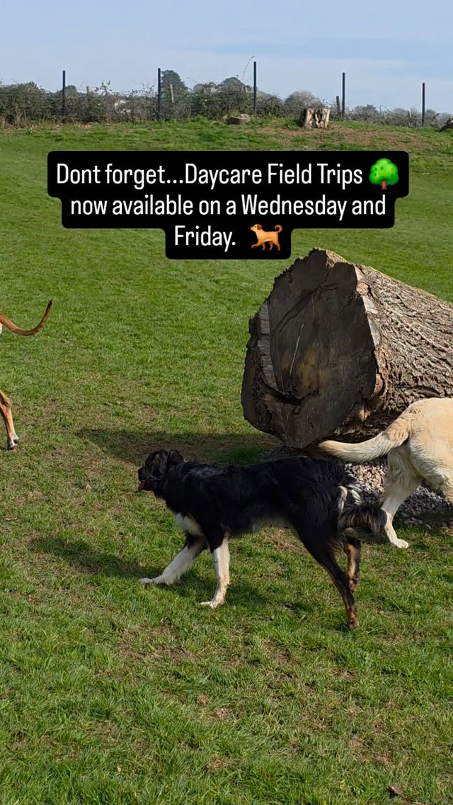 Wednesday and Friday Field Trips, join us for extra fun. π³π