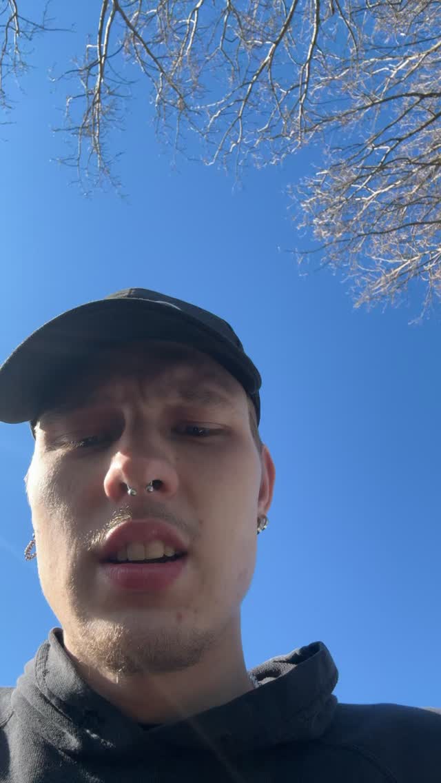 Chameleon illigaal?#blinderen #tinten #blinkncar #chameleon