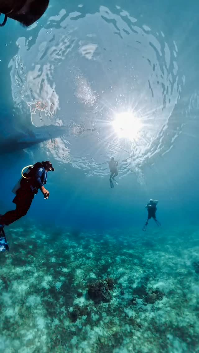 Happy Easter from Southseas Beach Resort & Dive Center
Celebrate new beginnings above and below the surface may your day be filled with sunshine, smiles, and unforgettable ocean and Life adventures.
#HappyEaster #Southseas #ssbrdc