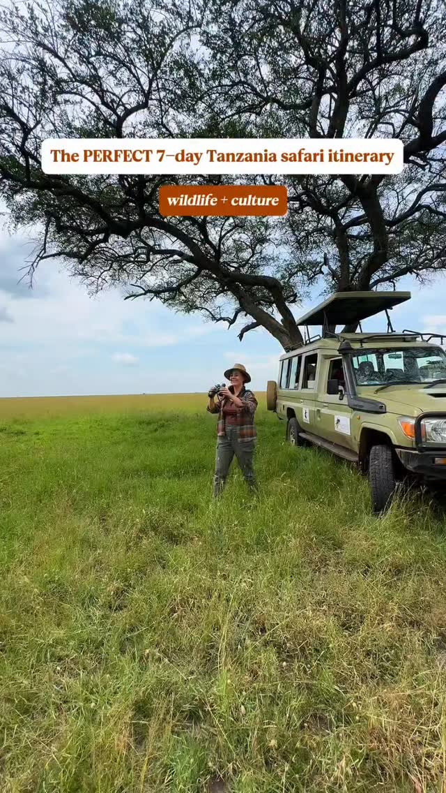 🌍 7 Days. 1 Epic Adventure. Memories for a Lifetime.
From the roaring waters of Materuni Waterfalls 🌊 and aromatic coffee tours ☕, to the wild heart of Arusha & Ngorongoro National Parks 🦁, and Serengeti’s endless plains 🐘—every day is a story waiting to be told.
Meet the Hadzabe tribe 🤝, connect with culture, and capture moments that money can’t buy. This isn’t just a safari—it’s Planet GOGO Adventure taking you on the ultimate Northern Tanzania journey.
✨ Adventure is calling. Are you ready to chase it?
#planetgogoadventure #tanzaniasafari #wildlifemagic #culturaljourney #epicescapes