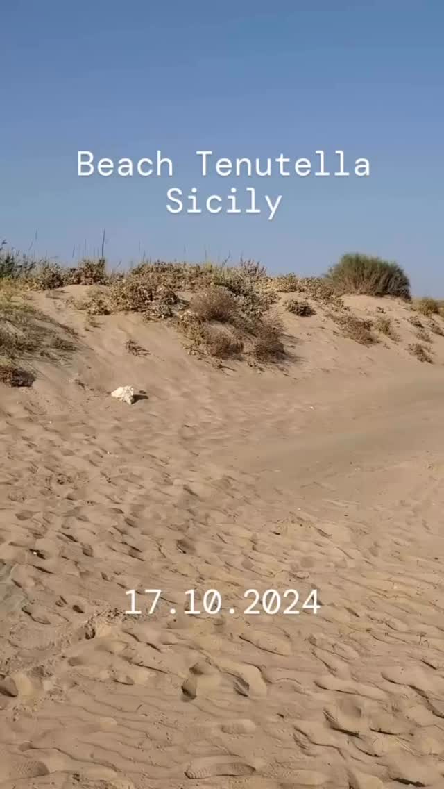Un disastro 😩
#climacrisis #2024 #beachclean