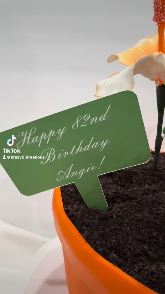 Looks like a plant… but it’s all cake 🌺🍰
This all-edible flower pot is blooming with handcrafted sugar flowers and sweet details down to the “soil.” Beauty you can admire and then slice into!
Custom, creative, and just a lil’ krazy”… exactly how we like it😉
#edibleart #cake #flowers #sweet #yummy