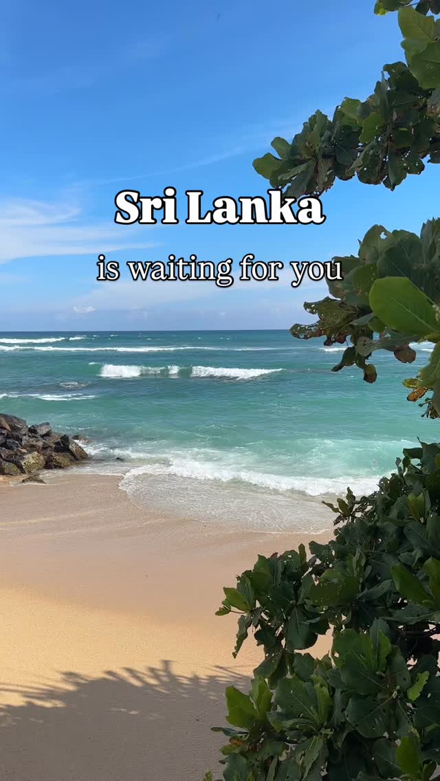 We have been spending almost 3 weeks in Sri Lanka, discovering this destination in first person, visiting some of our contracted partners and exploring the country from North to South 🇱🇰
Book your luxury Sri Lanka escape with us:
📧 alina@theuniquegetaways.com
📲 +39 3285668339
#srilanka #luxurytraveladvisor #islandvibe #oceanlover #beachholiday