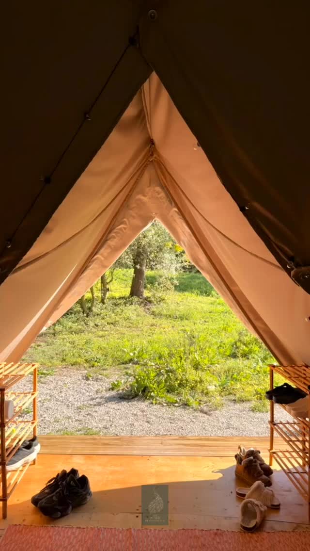 This retreat⌠was something words can barely hold. â¨đ¤
There was a softnessâŚa slowing downâŚ
a remembering of what it feels like to truly be.
So many of you spoke about the subtle layers, the way the space felt, the depth of connection, the quiet moments where something shifted without needing to be named.
When the nervous system softens, when the body feels safe, when the mind is no longer racing ahead âŚ
you begin to hear yourself again.
From breath to stillness then to expansion,
from strangers to something that feels like soul familyâŚa Tribe.
Every experience invited you back to yourself and every second had an intention.
And maybe thatâs what this work really is?
Itâs not becoming someone new, but instead remembering who you were before the noise of society & necessity told you âyou must beâ
If youâve been feeling the call⌠this is your invitation đ¤
Join me for the next Inner Playground retreat
đ Meco, Portugal
đ
16thâ20th June
A space to reset, reconnect, and come back to yourself â¨