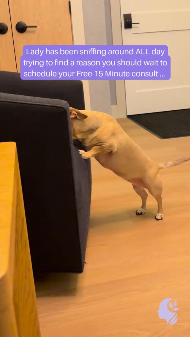 And trust me….shes got a very precise little snoot 🐾 #traumatherapy #njtherapy #traumainformed
