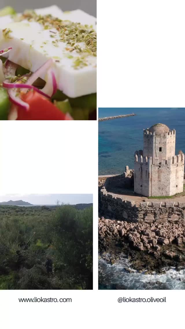 Μια στιγμή αρκεί για να σε κάνει να την θυμάσαι για πάντα! 🫒
#liokastro
#oliveoil
#extravirginoliveoil
#greekoliveoil
#mediterranean
