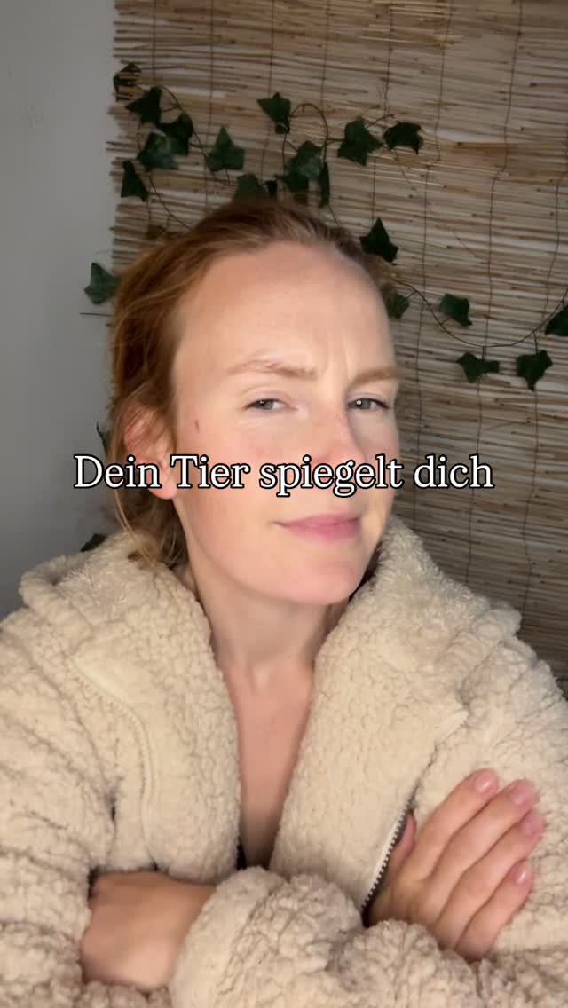 Was spiegelt dein Tier Positives im Alltag? 🐾
#tieralsspiegel #Hundeverhalten #bewusstsein #selbstreflexion #tiergestütztearbeit
Tier als Spiegel,
Mensch Hund Beziehung,
Hund reagiert auf Stress,
Hund bessert verstehen