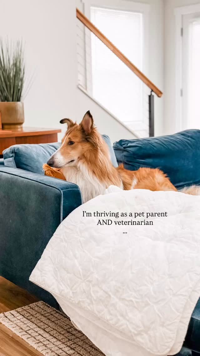 I used to think worrying enough would better equip me to ensure I didn’t miss anything … plot twist it doesn’t.
What’s changed is my perspective because I’ve put work (and I mean 2 minutes a day) into practicing the best-case scenario.
This has started re-writing my thought patterns so that I’m recognizing these small moments (where my dog is healthy and happy).
By doing this, I’m giving credit to ALL the good moments; which there are plenty of I’ve just not given them the significance they deserve.
#veterinarymedicine #veterinarymindset #mindsetmatters