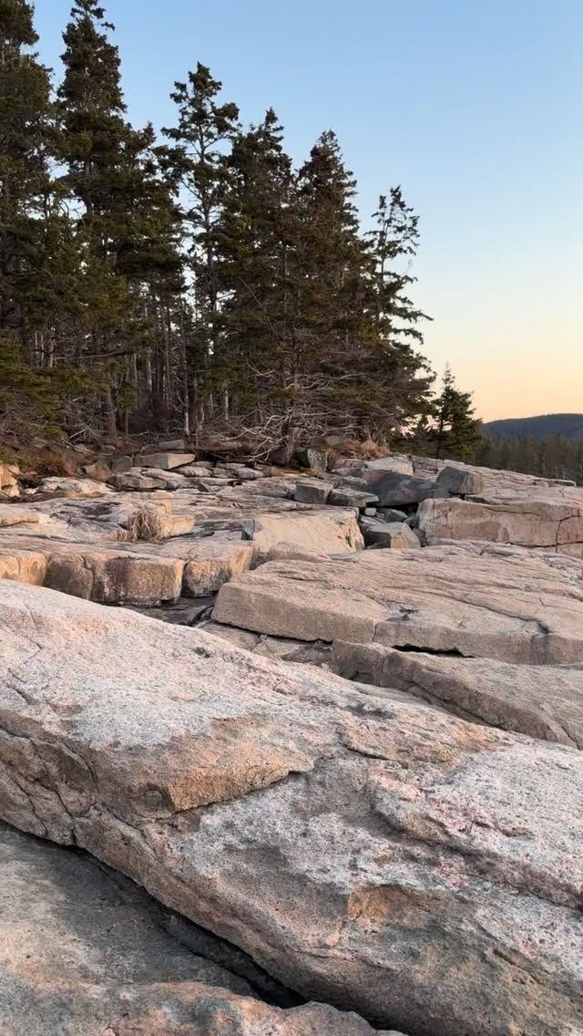 Our 6th grade class is in Acadia National Park exploring a small piece of God’s magnificent creation. Our students are scientists on this multi-day, residential outdoor Schoodic Education Adventure (SEA) program led by Acadia National Park educators. Students have explored forest diversity, mapping, geology, marine investigation, water chemistry and more. We have hiked, seen sunrise on the rocks, toasted s’mores, learned print making, and had a lot of laughs. #veritasma #schoodicinstitute #acadianationalpark #scienceclass