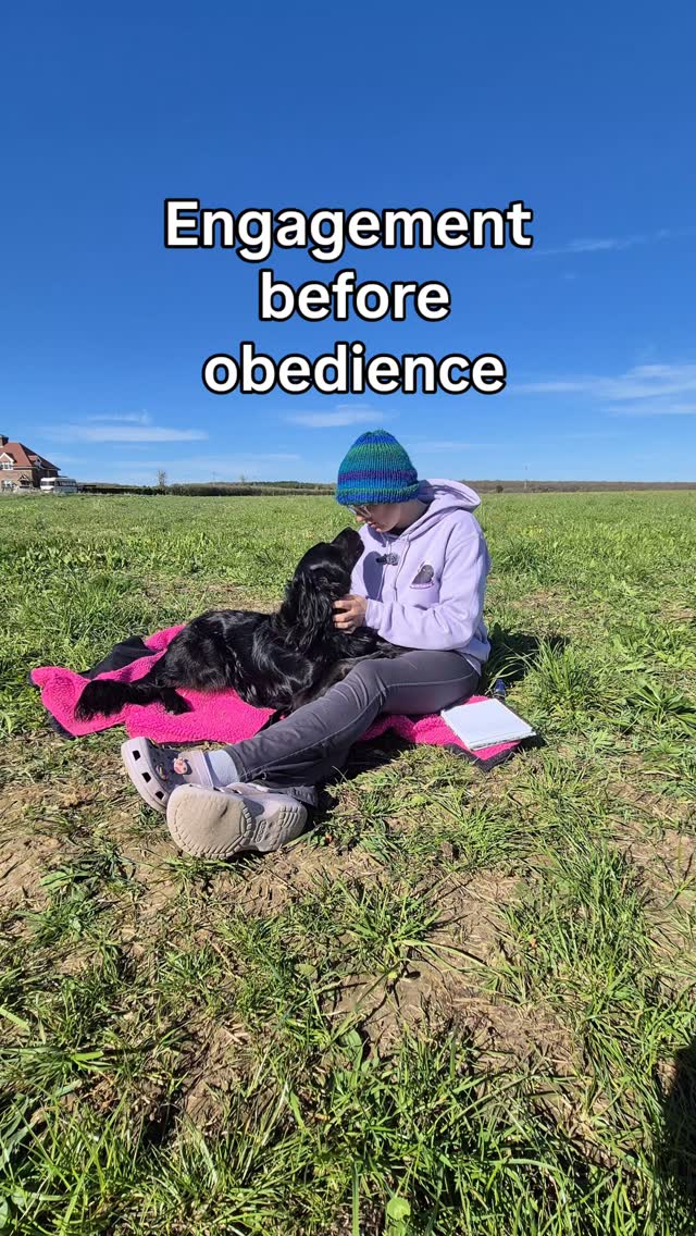 So many people jump straight into obedience… without building engagement first.
If your dog isn’t tuned into you, it doesn’t matter how many commands they “know”—they won’t choose to listen when it counts.
Engagement is what makes your dog want to work with you, not just respond when it’s easy.
Build that first, and everything else becomes so much clearer.
If you’re struggling to get your dog to focus on you, I can help—just drop me a message to book a consult 💬
#dogtraininguk #dogtrainingadvice #balanceddogtraining #engagementtraining #reactivedogtraining