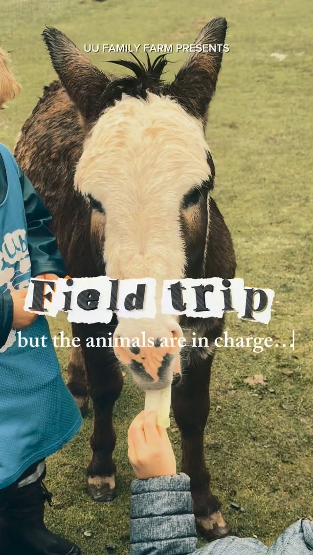 Not your typical field trip 🐾
A little chaos, a lot of laughter… and moments you didn’t expect.
UU Family Farm — where animals run the show.