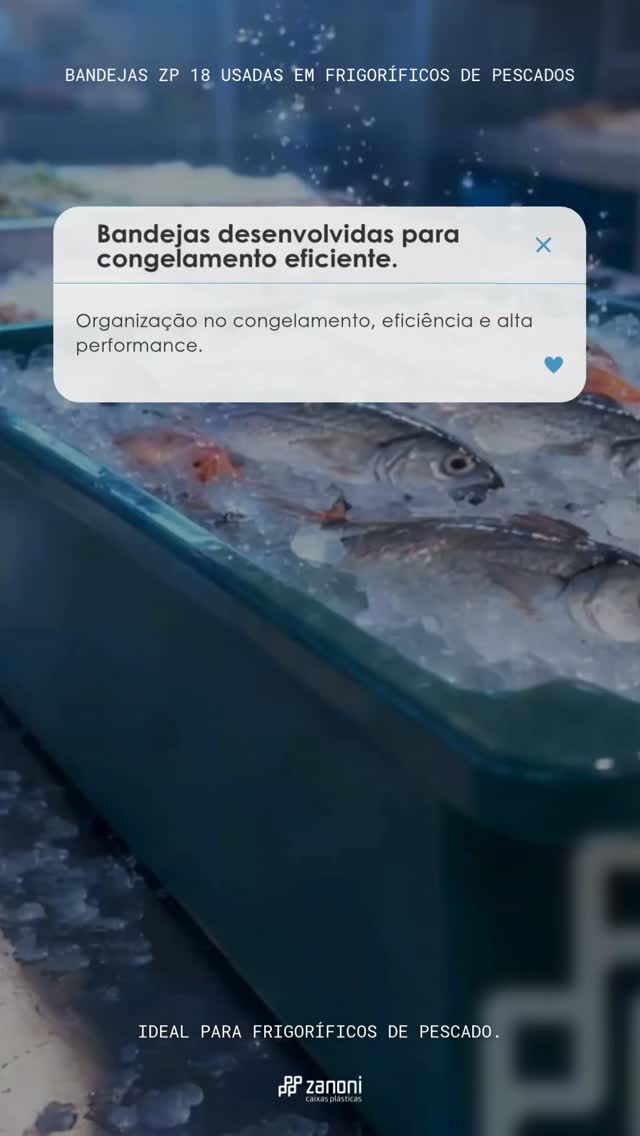 Bandejas que valorizam seu pescado.
Se você trabalha com pescados, sabe: a apresentação vende antes do sabor.
E é aqui que entram as bandejas certas 👇
✅ Melhor conservação
✅ Organização profissional
✅ Visual que chama o cliente
✅ Mais higiene e padronização
💡 Não é só bandeja… é estratégia pra vender mais no seu frigorífico!
Se você quer sair do básico e começar a se destacar de verdade, esse detalhe faz toda diferença.
📲 Quer ideias ou montar o seu padrão? Nos chame!