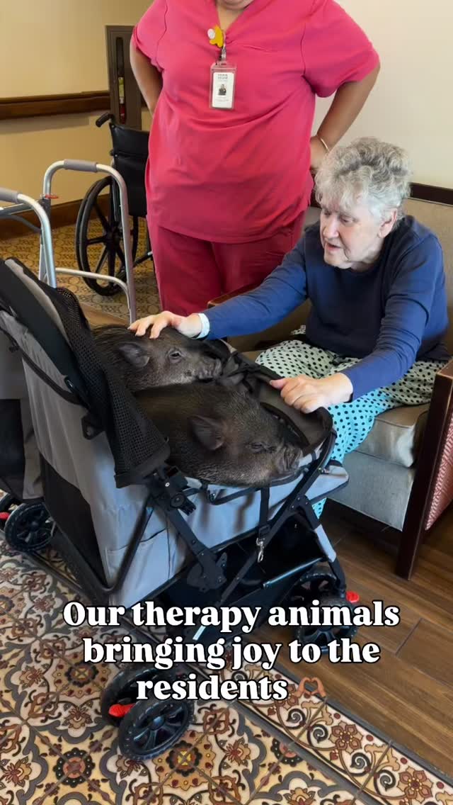 It was hard not to share a few sweet moments from our visit on Friday. 🫶
Our therapy pups and pigs—Escargot, Barbara, and Bertha—were welcomed with so much love from the residents, and they gave just as much love right back. Moments like these are so special and hearing that we helped make someone’s day truly means everything to us. 🥹
These visits mean so much to us, and we’re so grateful to be able to share these moments of connection and comfort. 🤗
If you’ve ever thought about volunteering and joining us on visits like these, we would absolutely love to have you. Please feel free to text us (949) 354-2173 we’d be so happy to welcome you 💕