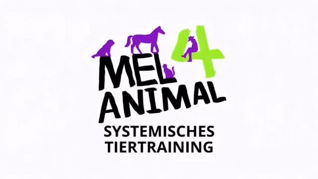 Alles verdreht 🤣❤️ #mel4animal #veldenamwörthersee #tierberatung #training #dogwalk